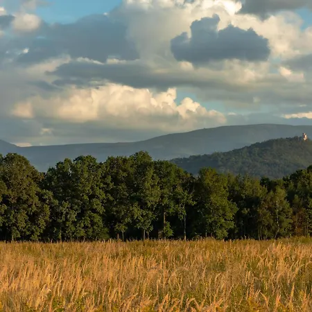 Karkonoskie Sny - Z Widokiem Na Karkonosze Appartamento *