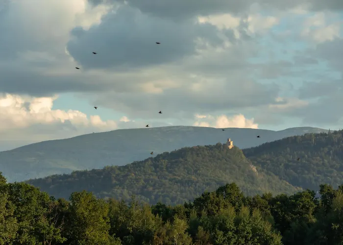 Karkonoskie Sny - Z Widokiem Na Karkonosze דירה *