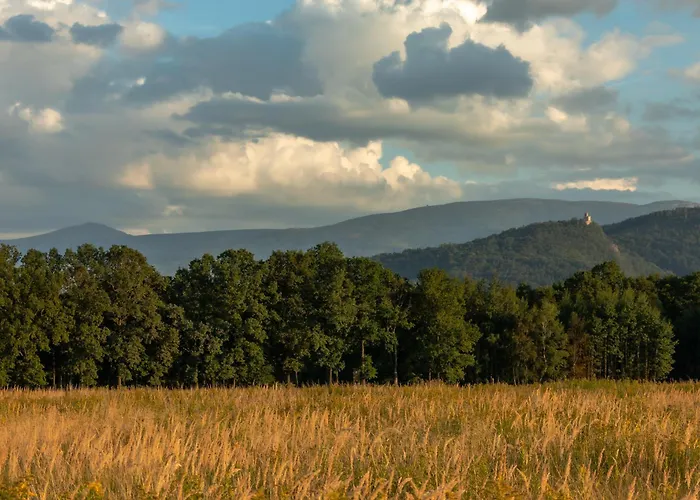 Karkonoskie Sny - Z Widokiem Na Karkonosze דירה *